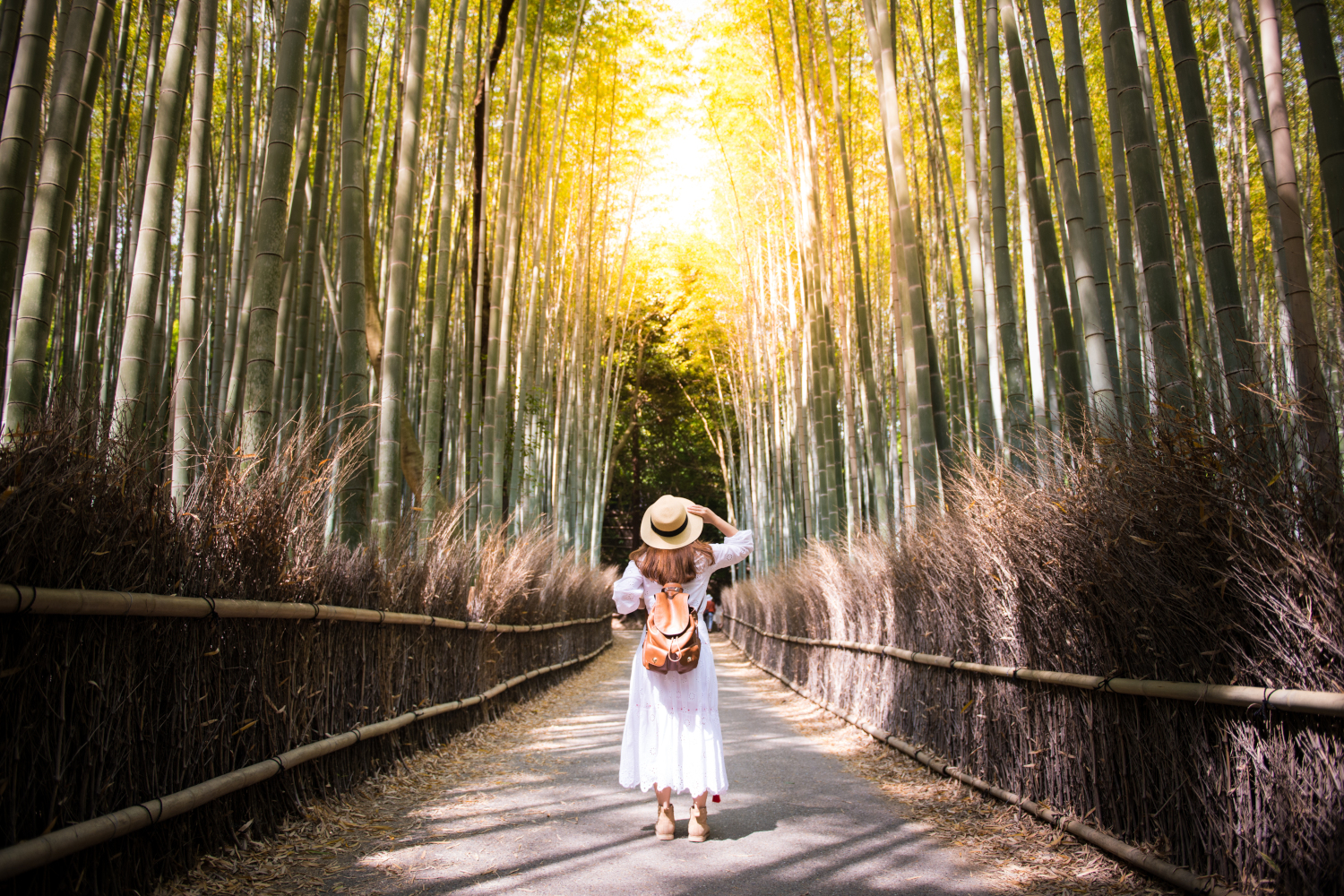 japan_kyoto_woman_arashiyama_forest